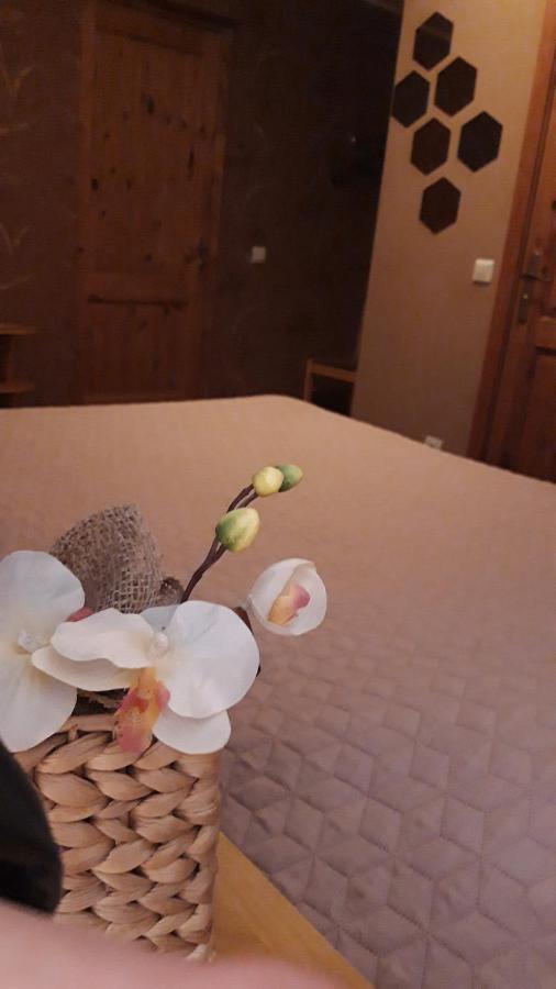 Viesu Nams Zala Sala Otel Litavniki Dış mekan fotoğraf